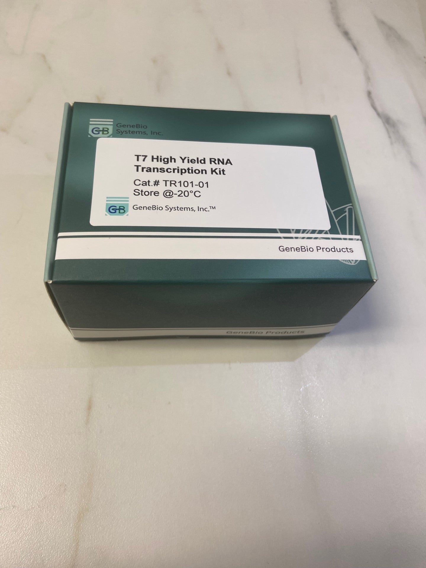 T7 High Yield RNA Transcription Kit