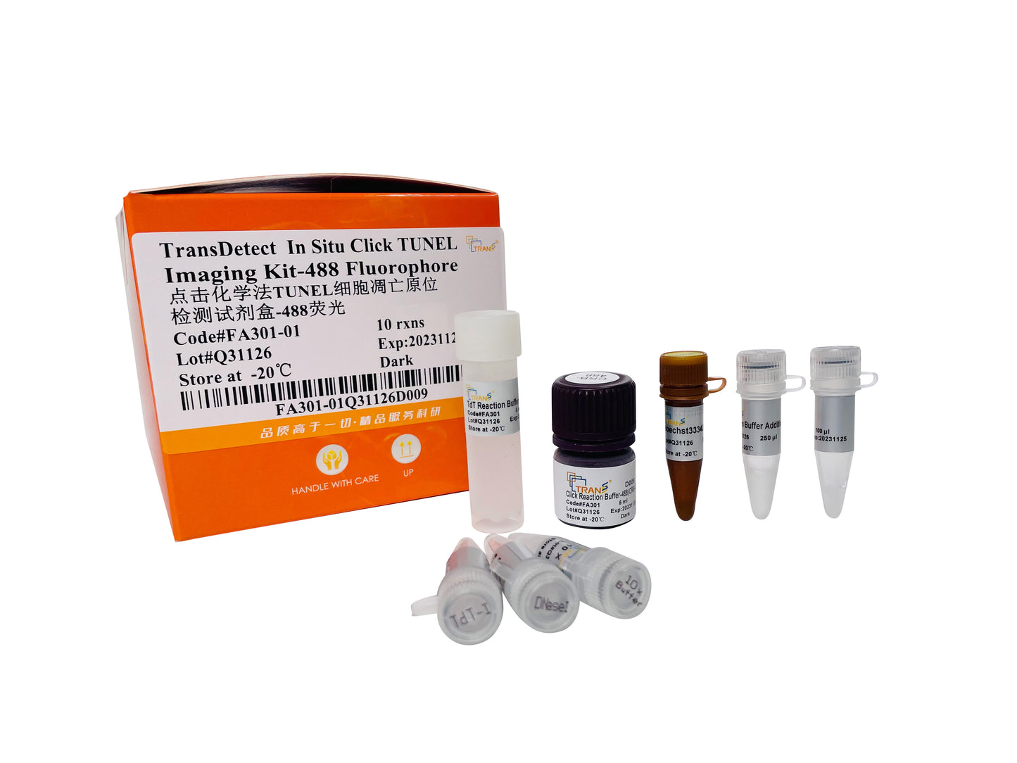 TransDetect® In Situ Click TUNEL Imaging Kit-488 Fluorophore