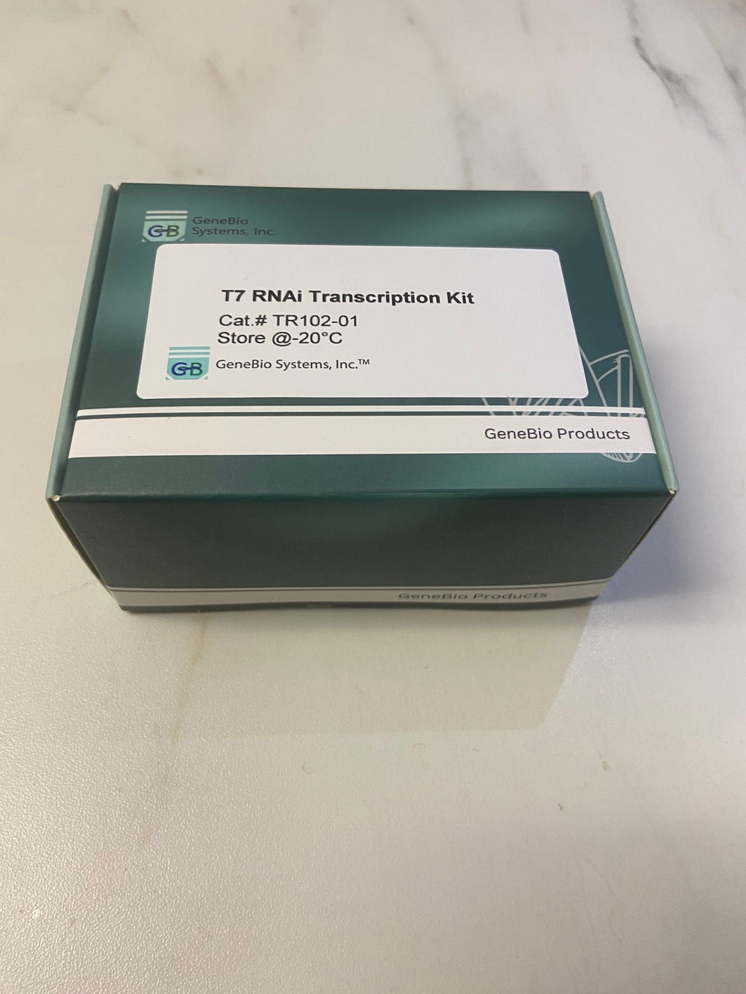 T7 RNAi Transcription Kit