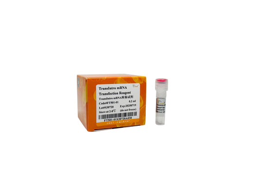 TransIntro mRNA Transfection Reagent