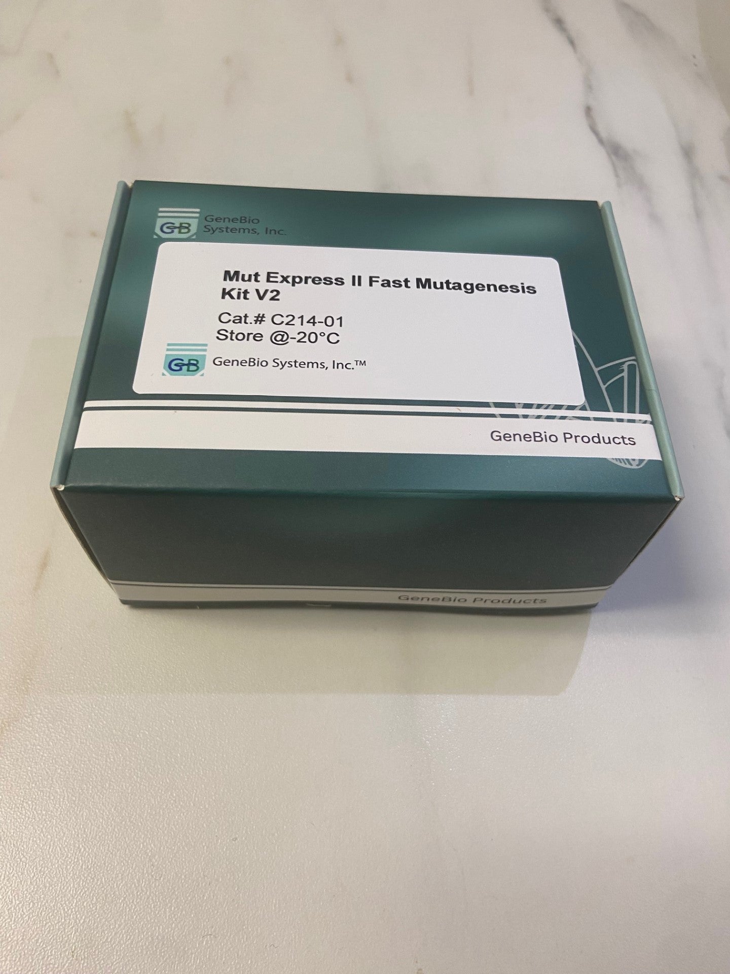 Mut Express II Fast Mutagenesis Kit V2