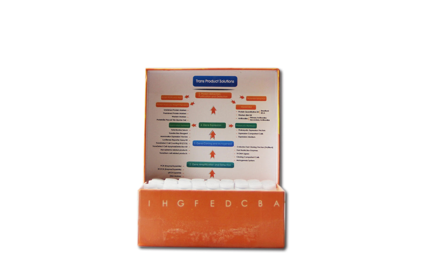 TransNGS® Index Primers (384) Kit for Illumina®