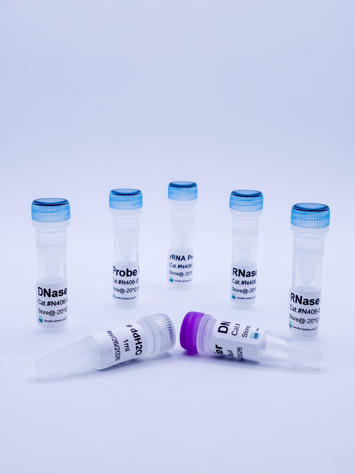 Ribo-off rRNA Depletion Kit (Human-Mouse-Rat)