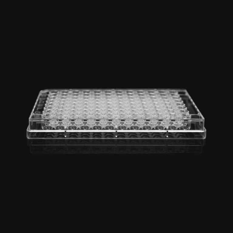 96-well clear U bottom ultra-low attachment plates, individually wrapped, sterile