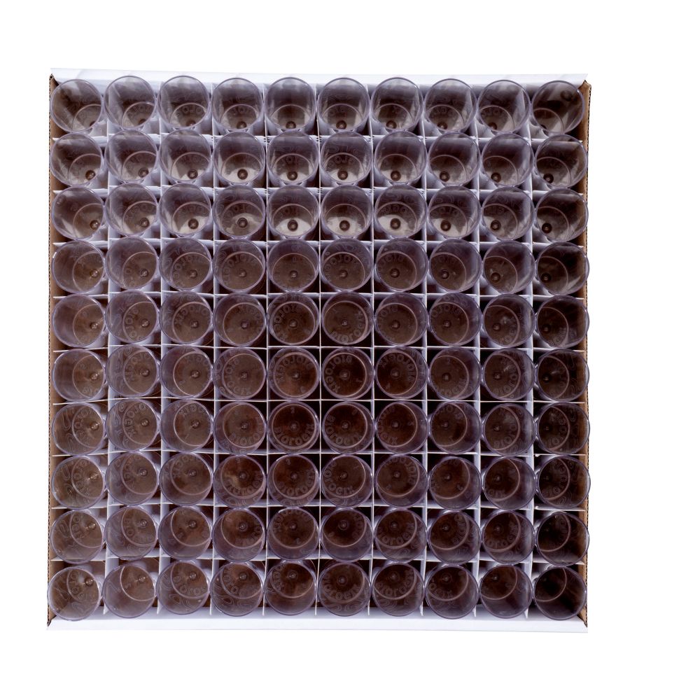 PS Drosophila Wide Vials in Tray