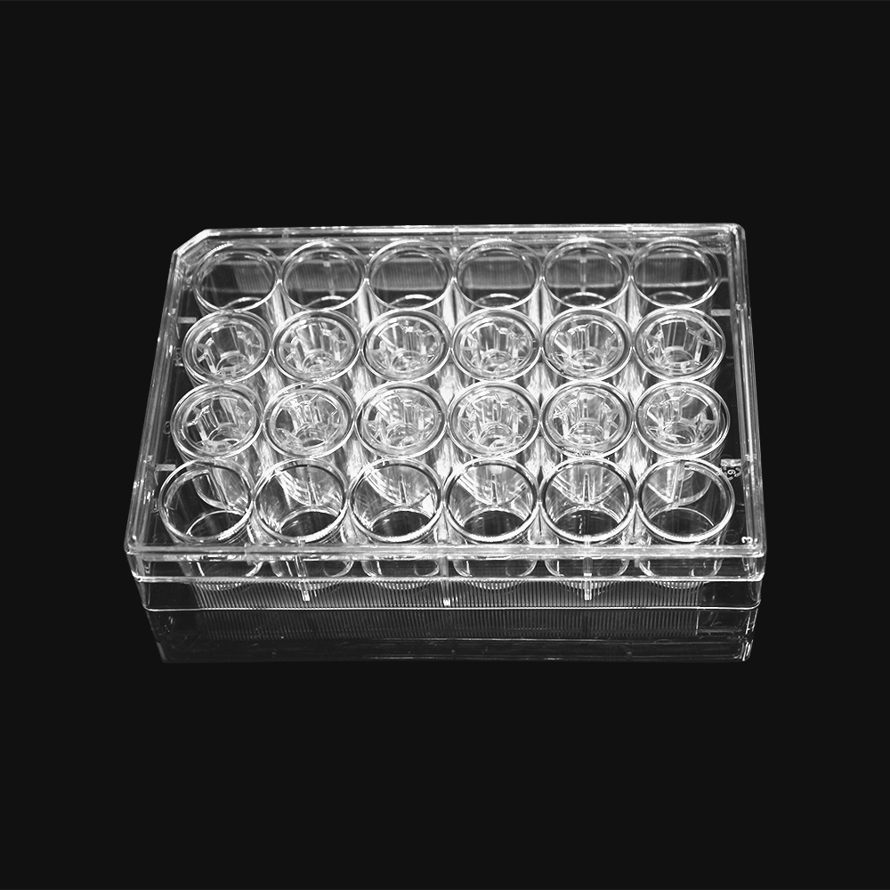 24 wells with 12 permeable support inserts