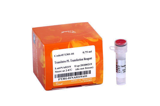 TransIntro™ PL Transfection Reagent