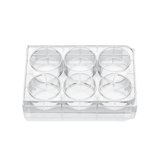 6-well clear flat bottom ultra-low attachment plates, individually wrapped, sterile, skin packing