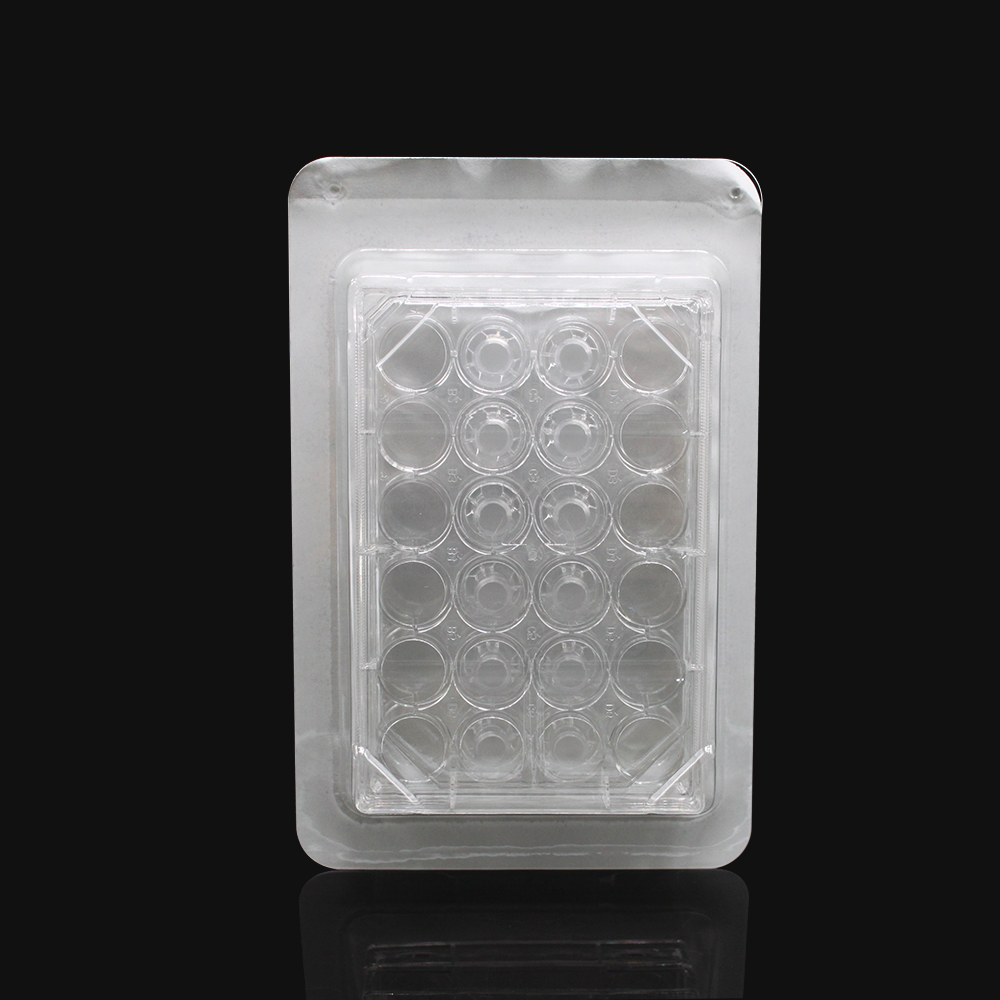 24 wells with 12 permeable support inserts