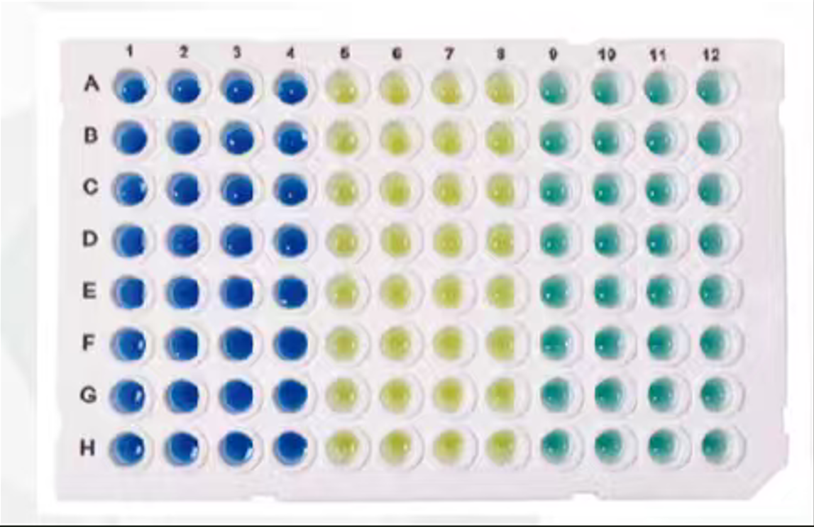 MixSure™ 2×PerfectStart®  Green qPCR SuperMix