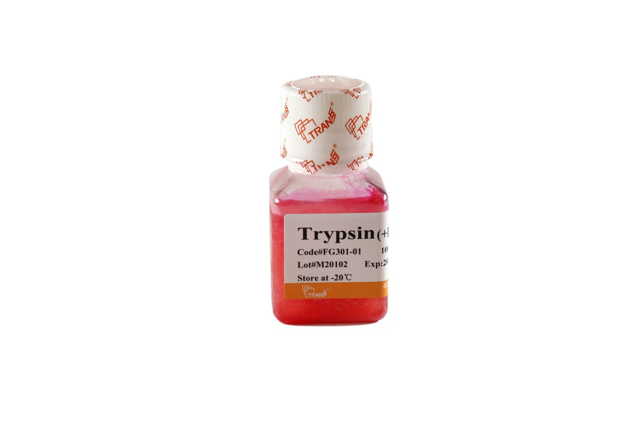 Trypsin（0.25%，EDTA(+/-) and Phenol Red）