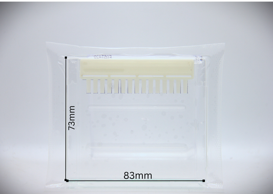 ProteinEle® Precast Tris-Glycine Gel