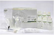 Load image into Gallery viewer, Plasmid DNA Extraction Maxi Kit (10prep), FavorFilter, EndotoxinFree, Ion Exchange
