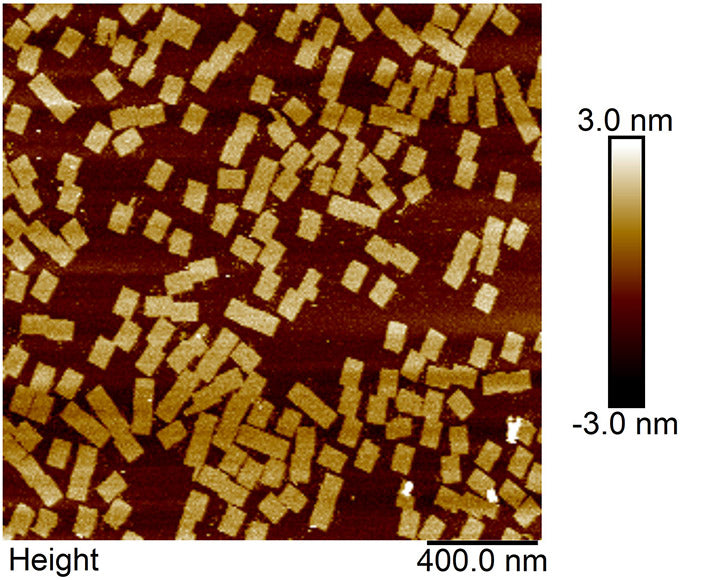 Single stranded phagmid mp18 ssDNA-7249nt