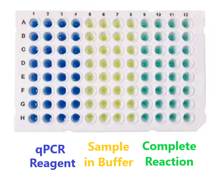 MixSure™ 2×PerfectStart®  Green qPCR SuperMix