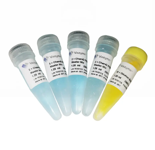 ChamQ SYBR Color qPCR Master Mix (Without ROX)