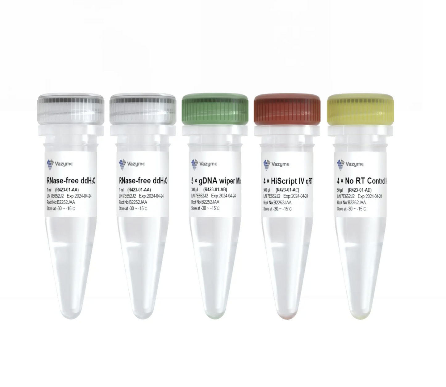 HiScript IV RT SuperMix for qPCR (+gDNA wiper)