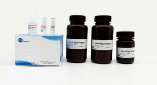 Bradford Protein Assay Kit