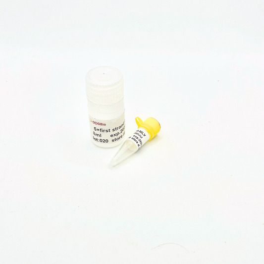 M-MLV Reverse Transcriptase