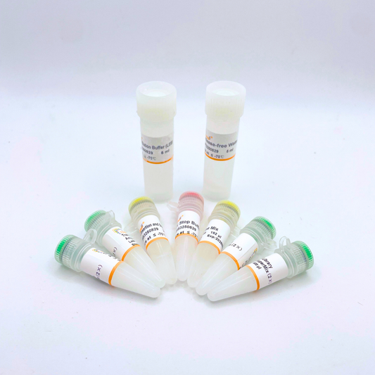 TransNGS® Tn5 DNA Library Prep Kit for Illumina® (for 1ng DNA)