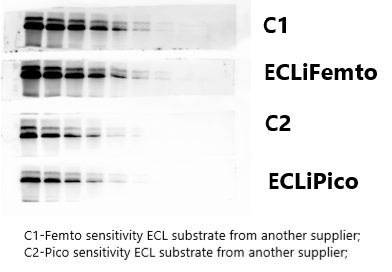 ECLiFemto™ ECL Chemiluminescence Kit