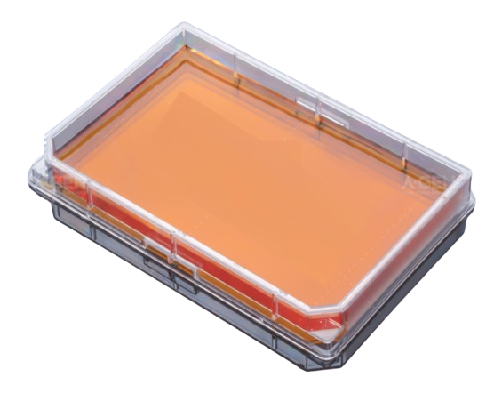 GB-Basic(TM) Single-Well Plate