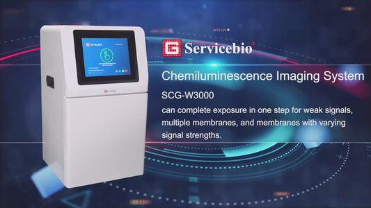 Genequip™ Chemiluminescence Imaging System