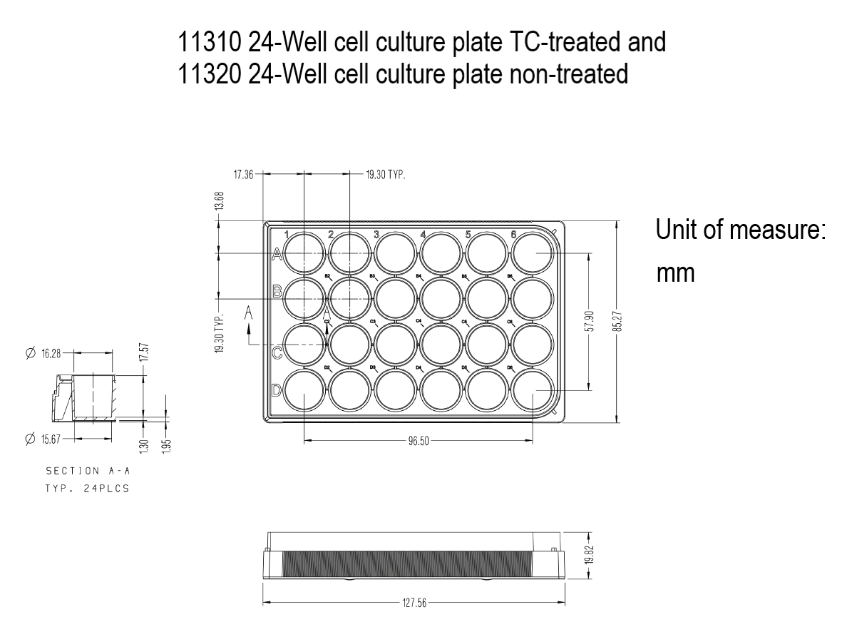 24-Well Cell Culture Plate