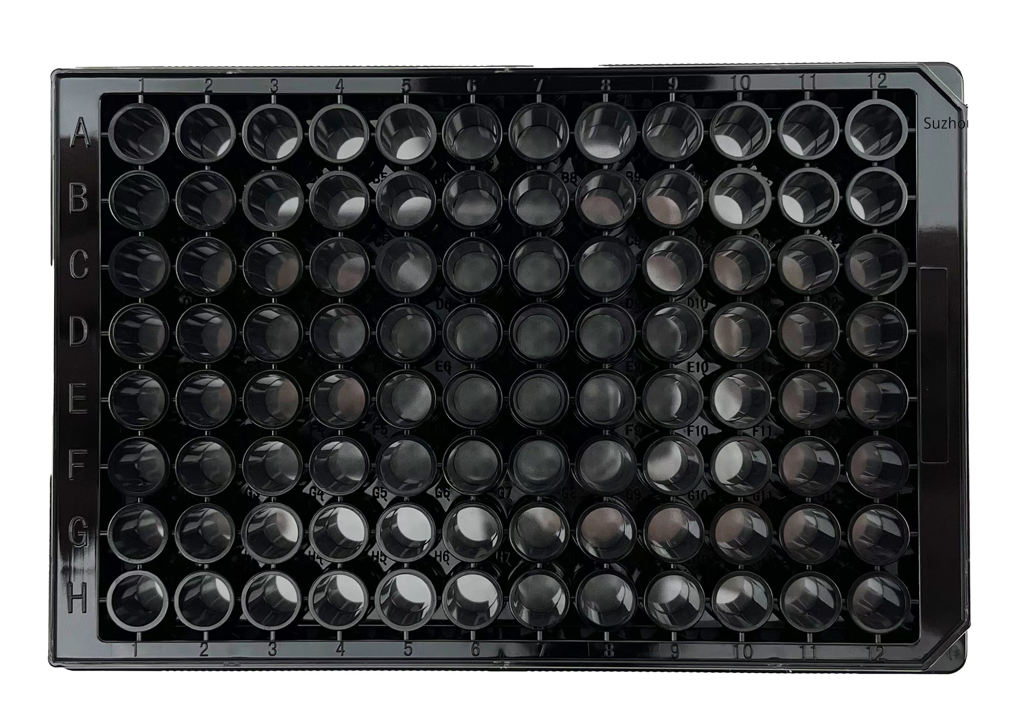 SPL Single Well Tray Plates – Sterile, TC-Treated, For Cell Culture, Case Of 50