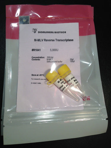 M-MLV Reverse Transcriptase (H-)