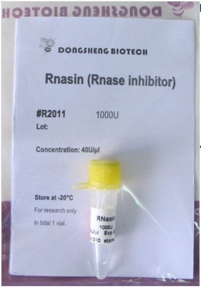 Ribonuclease Inhibitor