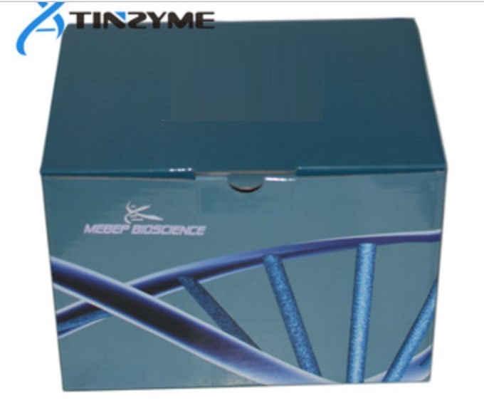 Fixed and Embedded Tissue miRNA kit