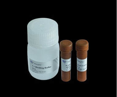 Annexin V-FITC Apoptosis Detection Kit (with PI)