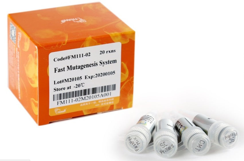 Fast Mutagenesis System