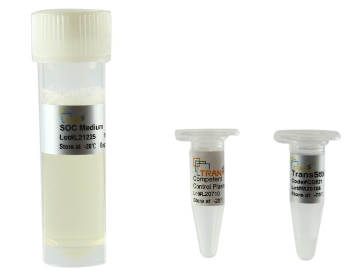 TransStbl3 Chemically Competent Cell