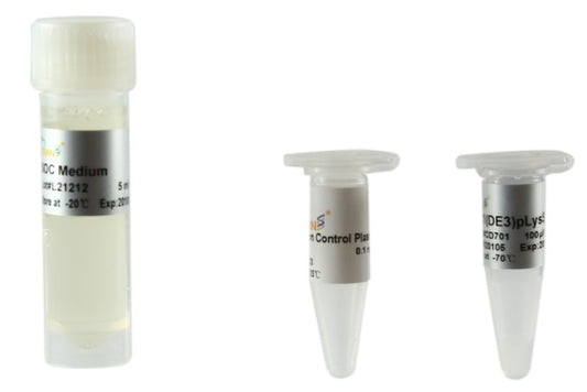BL21 (DE3) pLysS Chemically Competent Cell