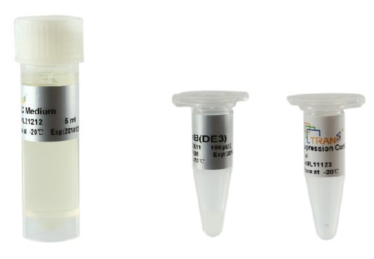 TransB(DE3) Chemically Competent Cell