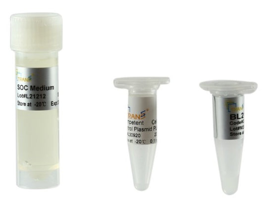 BL21 Chemically Competent Cell