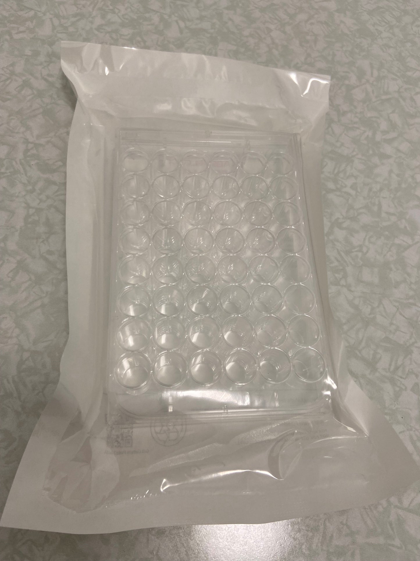 48-Well Cell Culture Plate, Clear