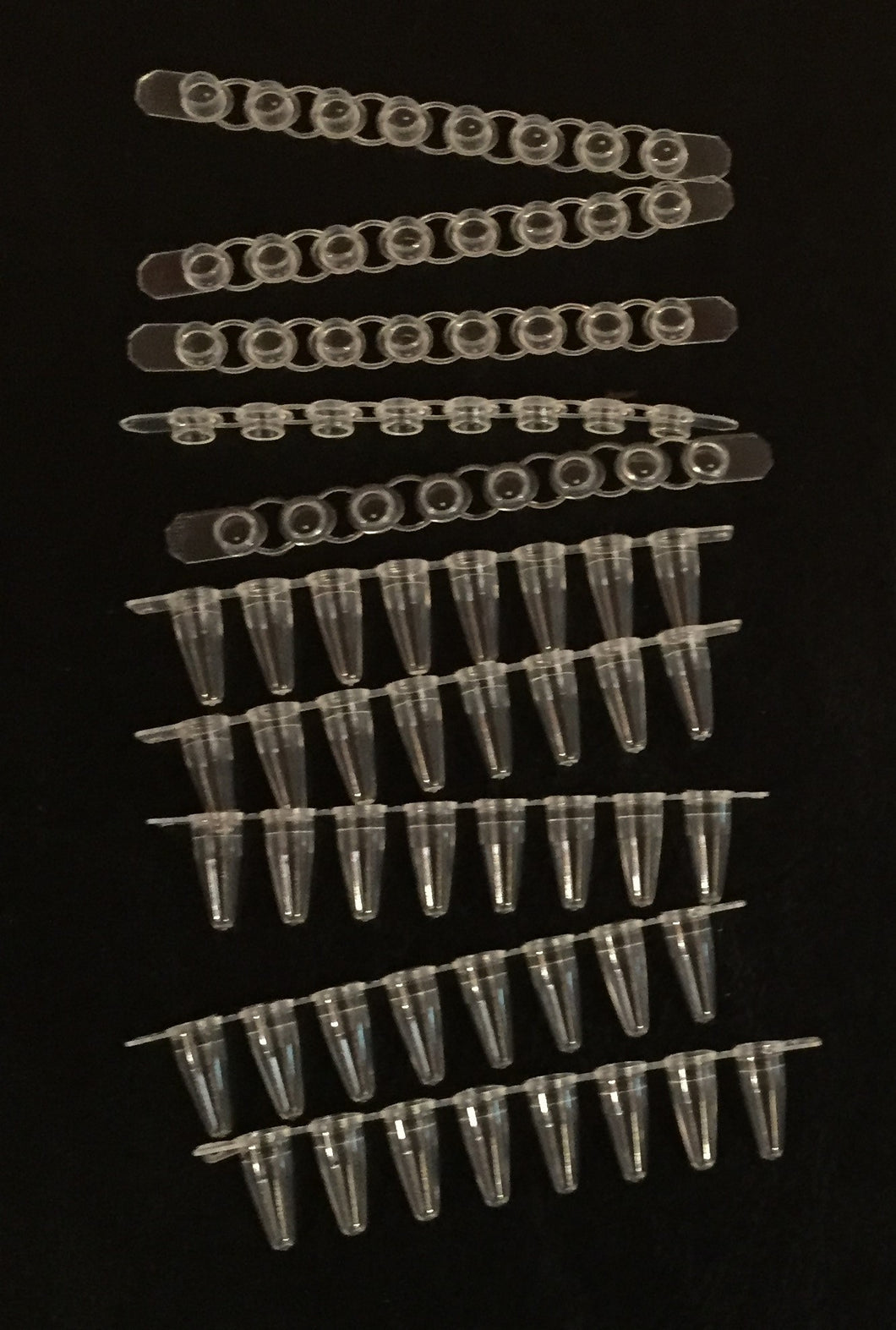 8-strip PCR Tubes with Caps
