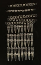 Load image into Gallery viewer, 8-strip PCR Tubes with Caps
