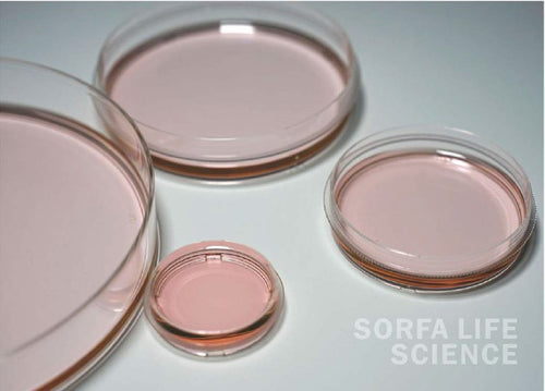 CELL CULTURE DISH