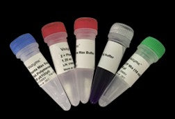 PaCeR™ HF™ DNA polymerase