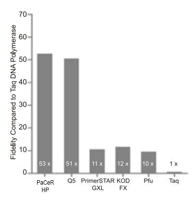 PaCeR™ HF™ DNA polymerase