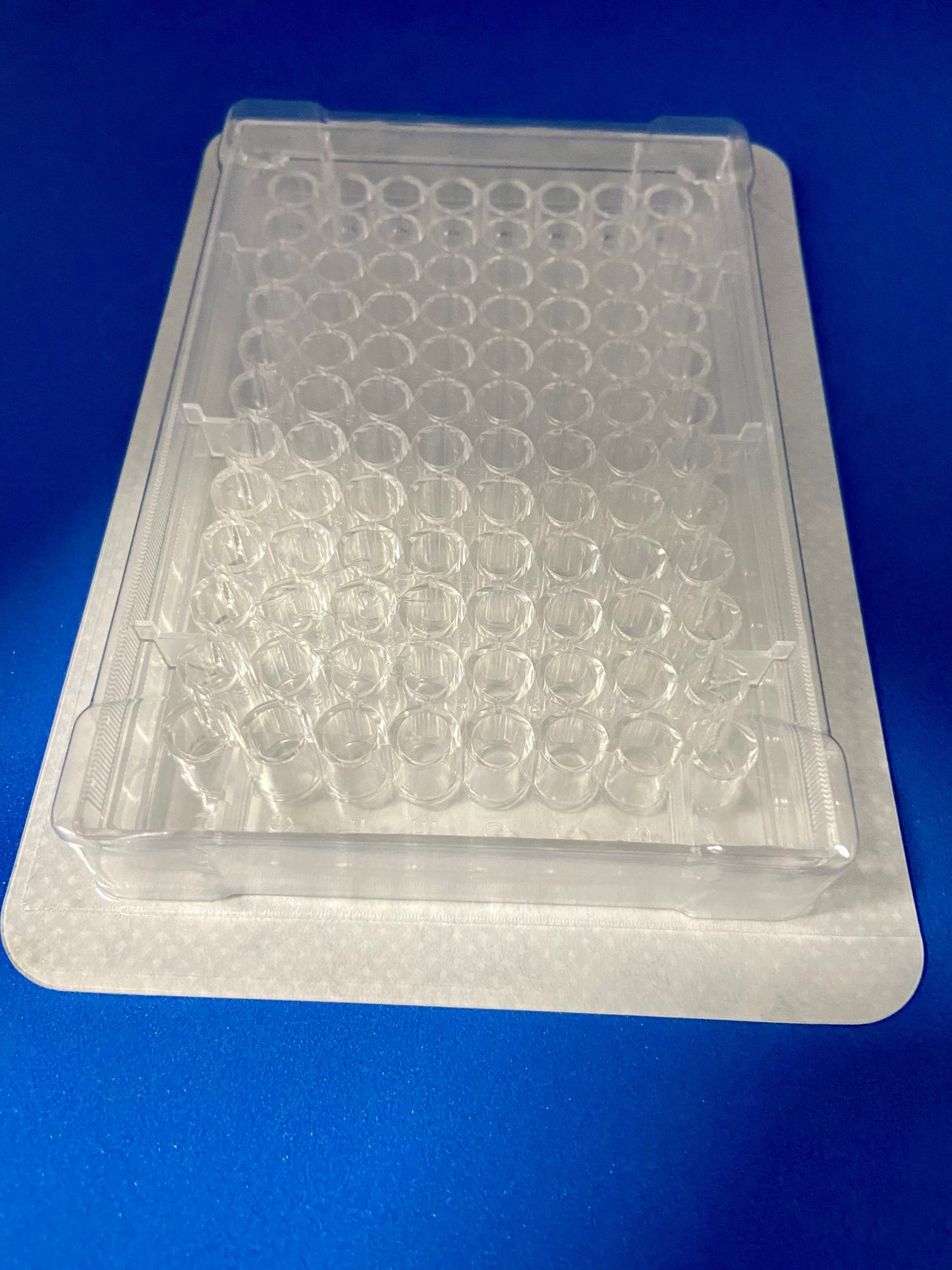 96-well Cell Culture Plate, Flat-Bottom, Surface Treated