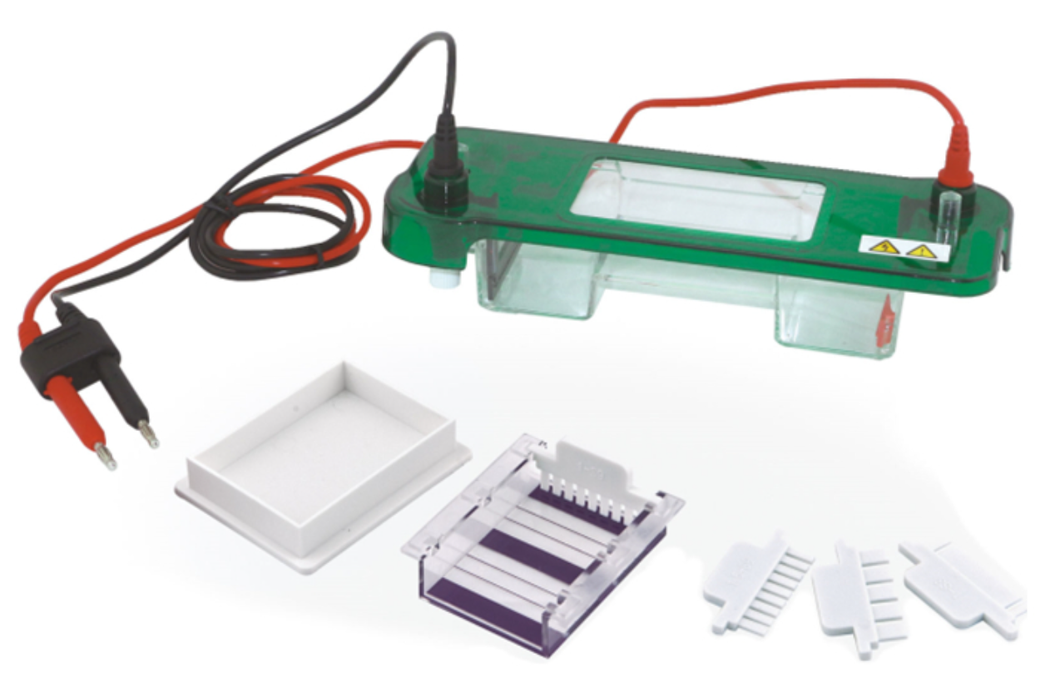 GB-Mini™ Horizontal Electrophoresis Apparatus System