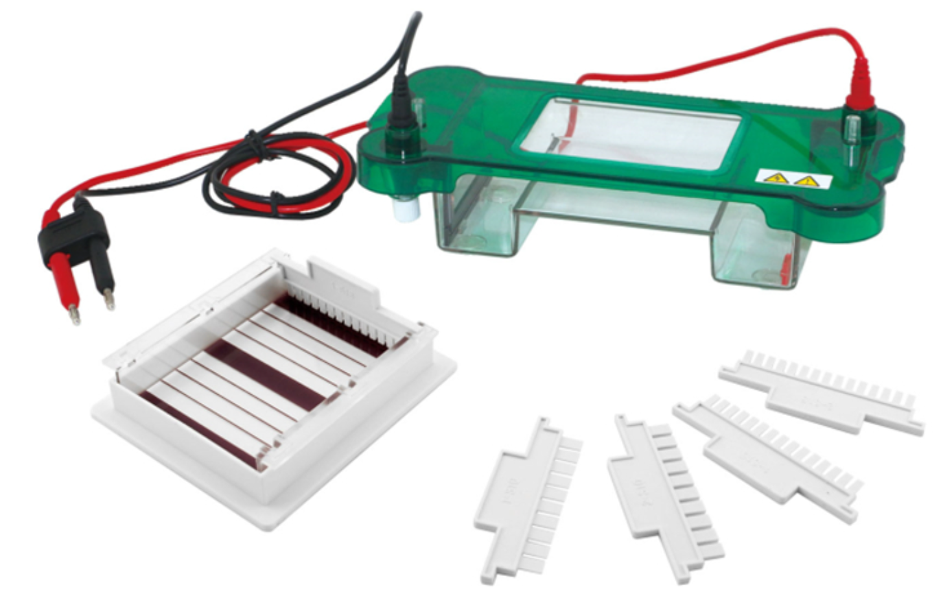 GB-Workhorse™ Horizontal Electrophoresis Apparatus System