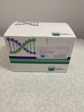 Load image into Gallery viewer, GB-Clean™ Plasmid Miniprep Kit (HiPure Mini system)

