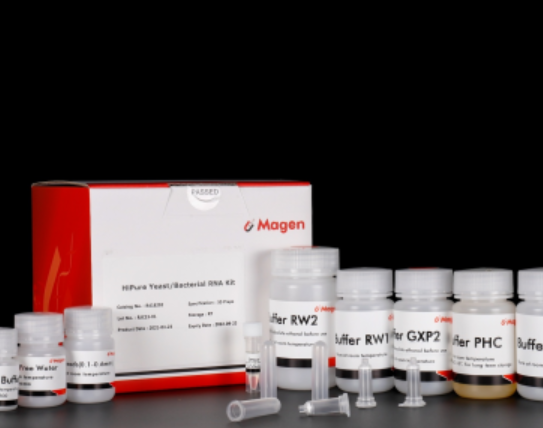 HiPure Microbial RNA Kit