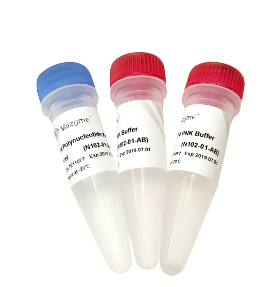 T4 Polynucleotide Kinase
